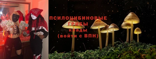 a pvp Каменка