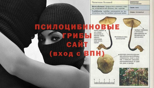 синтетический гашиш Каменногорск