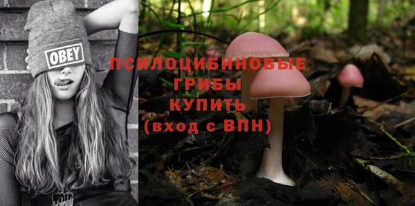 синтетический гашиш Каменногорск