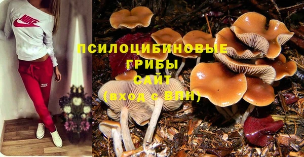 a pvp Каменка