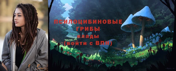 синтетический гашиш Каменногорск