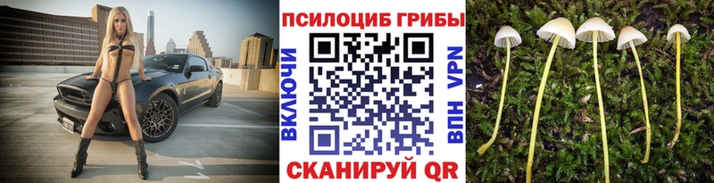 Псилоцибиновые грибы Psilocybine cubensis  Купить где  Нефтегорск 